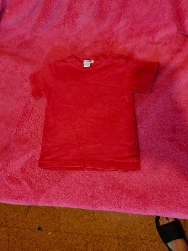 camiseta orchestra